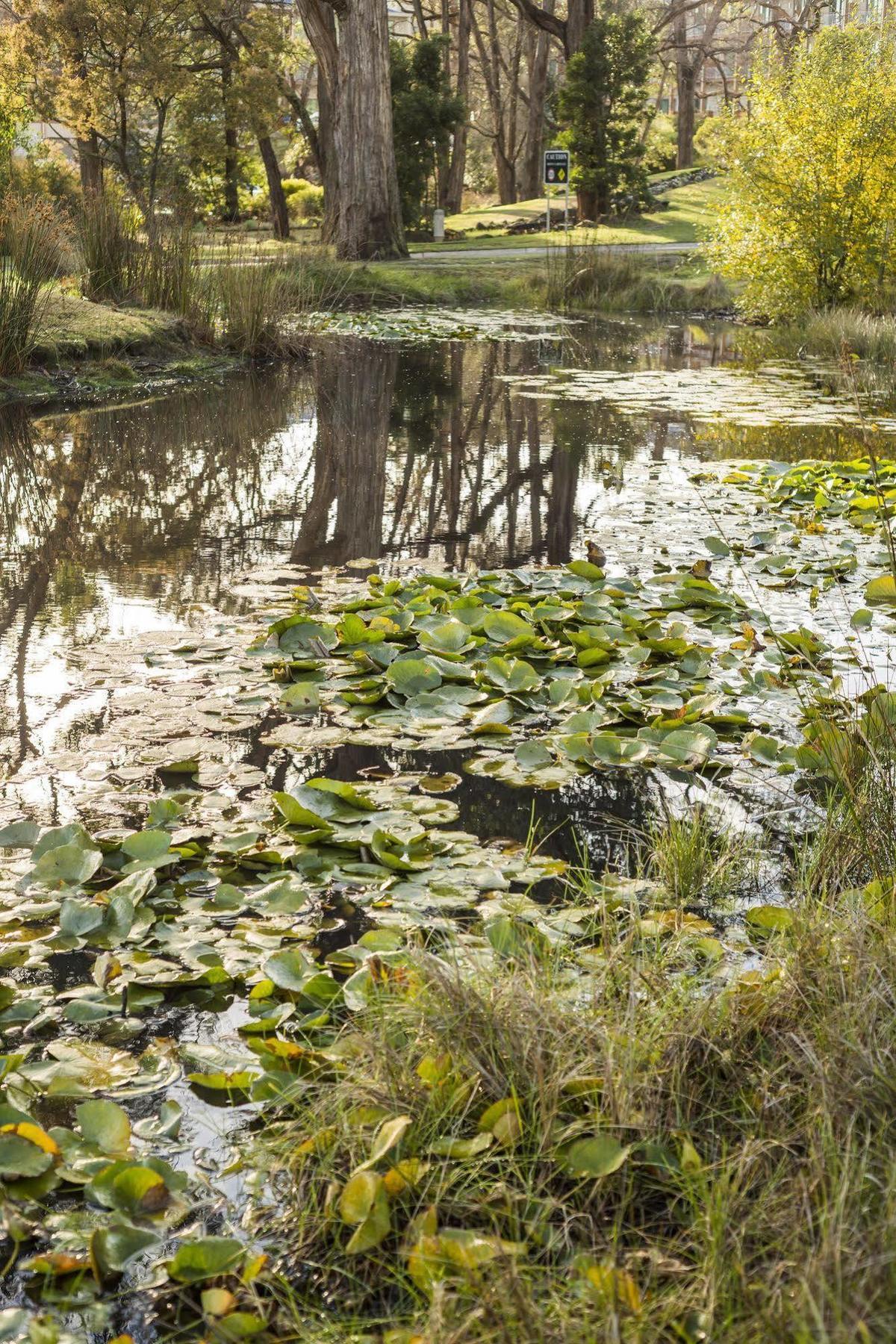 The Sebel Creswick Forest Resort Экстерьер фото
